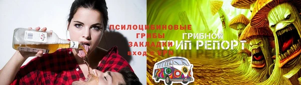 МДПВ Алексин