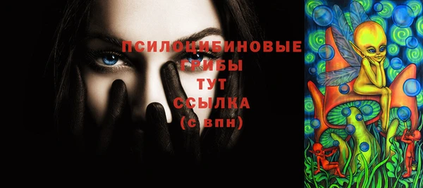 прущие грибы Алексеевка