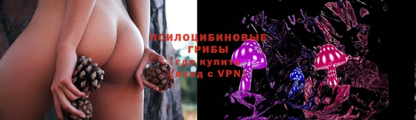 прущие грибы Алексеевка