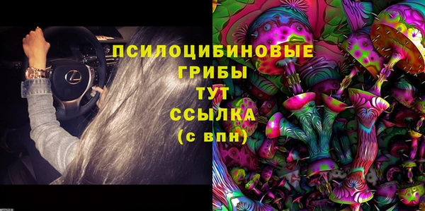 МДПВ Алексин