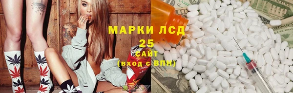прущие грибы Алексеевка